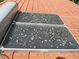 Solar Panel Cleaning