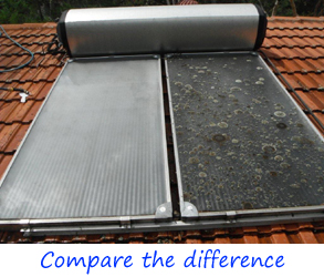 Solar Panel Cleaning